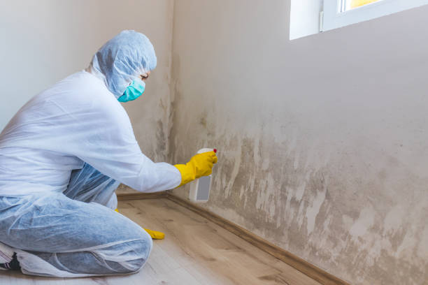 Crawl Space Mold Removal in Saint John Fisher College, NY