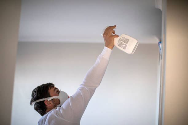 Best Fast Mold Removal  in Saint John Fisher College, NY
