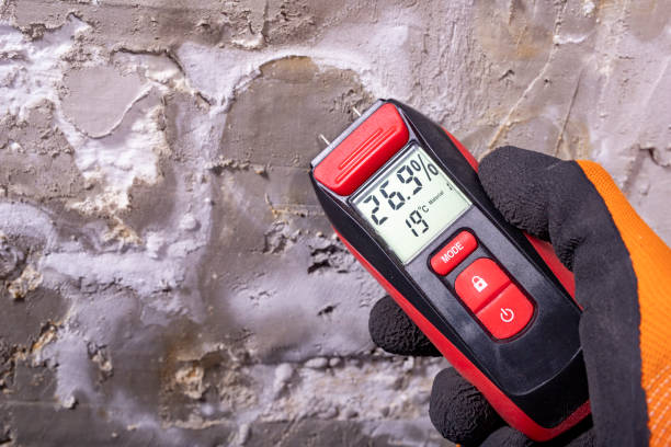 Best Emergency Mold Removal  in Saint John Fisher College, NY
