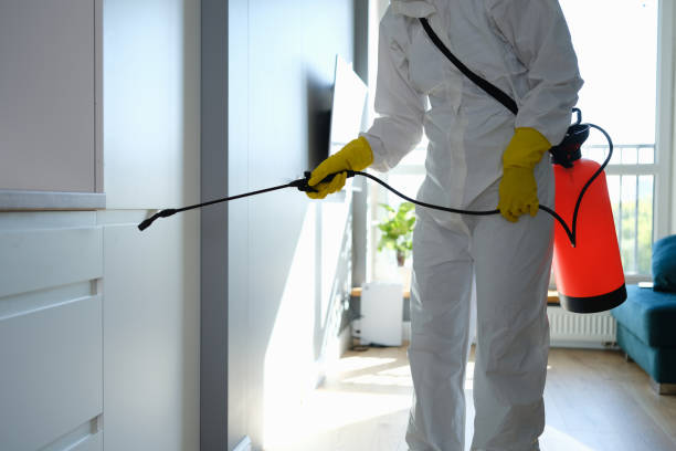Water Damage Restoration in Saint John Fisher College, NY