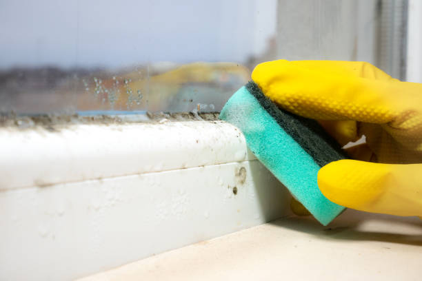 Best Mold Cleaning Services  in Saint John Fisher College, NY