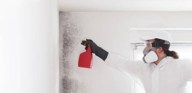  Saint John Fisher College, NY Mold Removal Pros