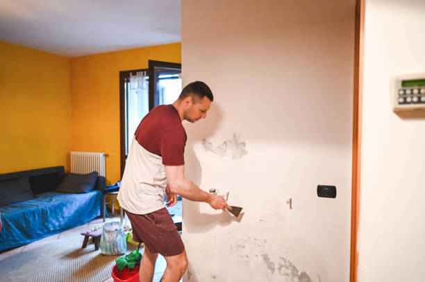 Saint John Fisher College, NY Mold Removal Company